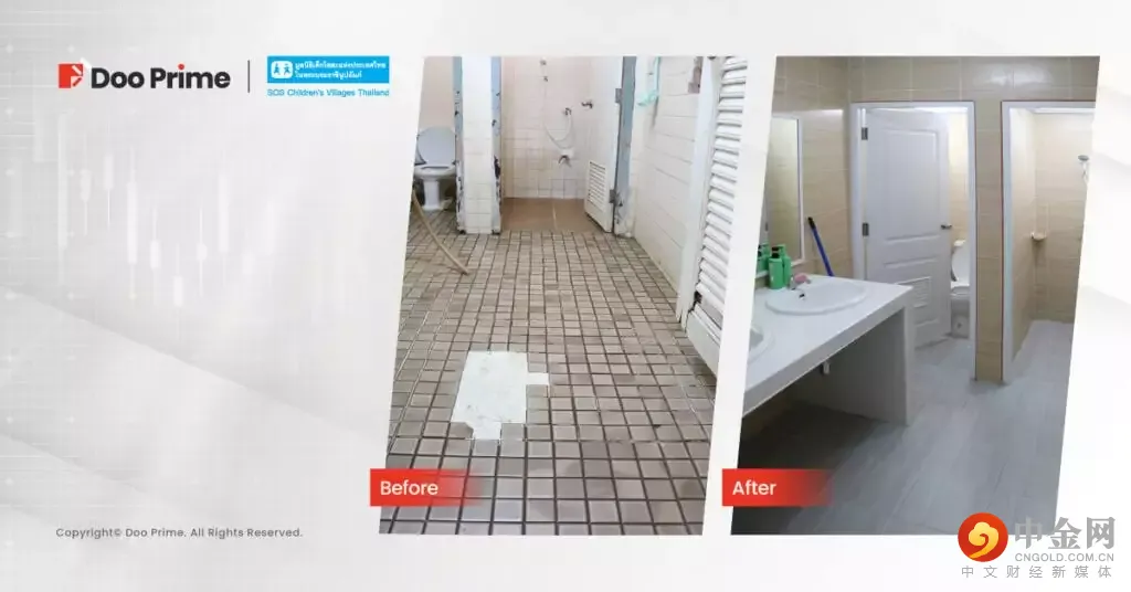 公司动态