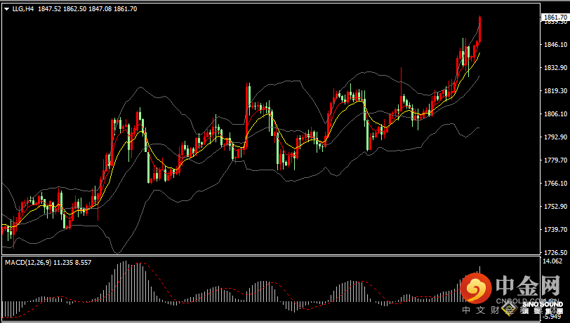 汉声张新才:[1月4日晚评]国际金价延续上涨态势，金价强势突破1860关口